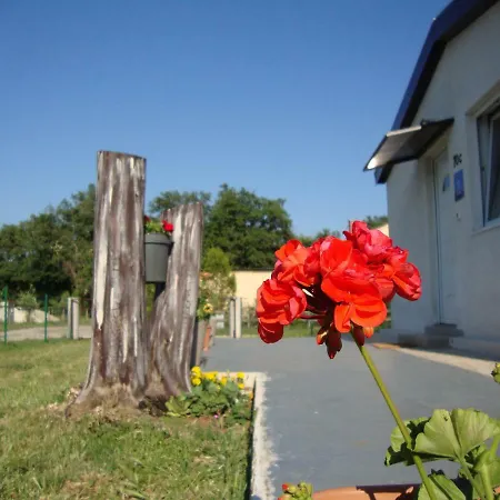 Vacation House Krajcar Casa vacanze Marčana